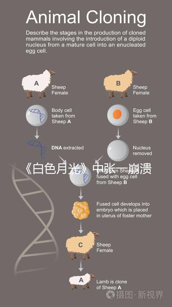 《白色月光》中張一崩潰在孩子面前哭，你認為該不該？