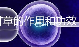 炙甘草的作用和功效（炙甘草的作用和功效與主治）