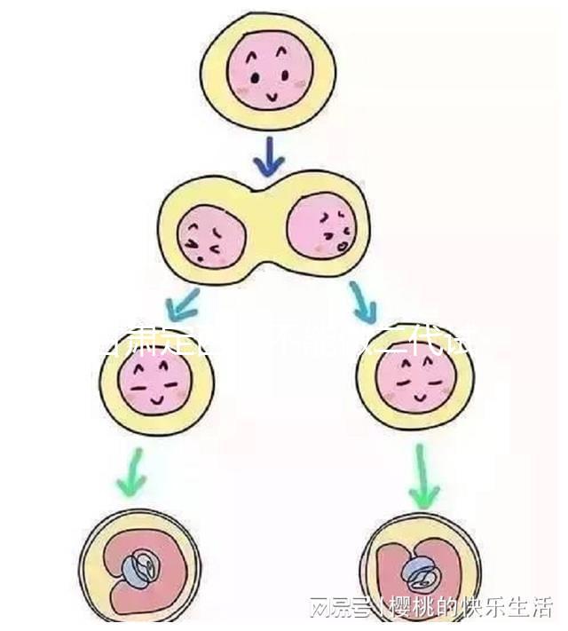 甘肅定西能不能做二代試管嬰兒，成功率高不高？