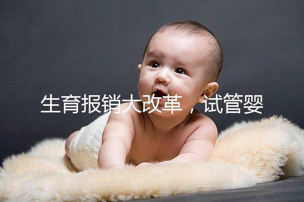 生育報(bào)銷大改革，試管嬰兒等輔助生殖費(fèi)用能納入醫(yī)保嗎