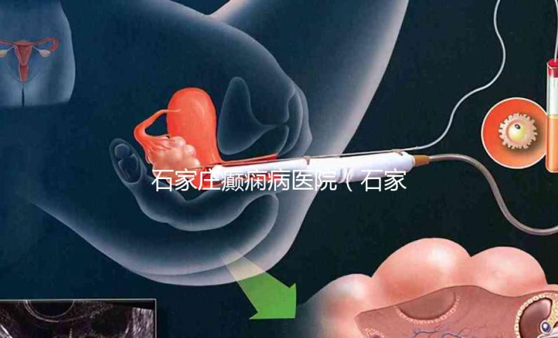 石家莊癲癇病醫(yī)院(石家莊治癲最厲害三個醫(yī)院)