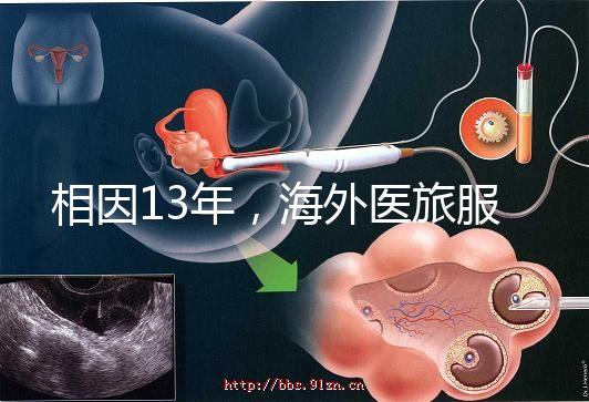 相因13年，海外醫旅服務標準制定者