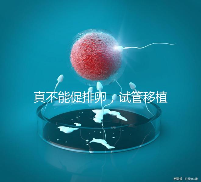 真不能促排卵，試管移植前吃優思明作用與功效竟是這