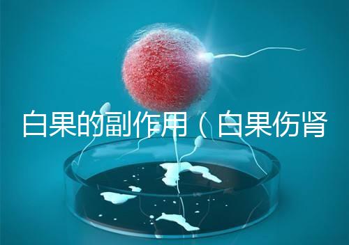 白果的副作用（白果傷腎還是補(bǔ)腎）