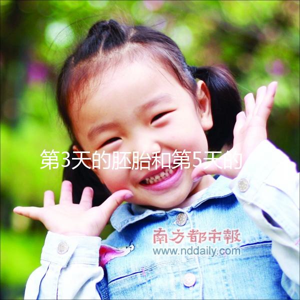 第3天的胚胎和第5天的囊胚，到底該怎么選成功率才高？