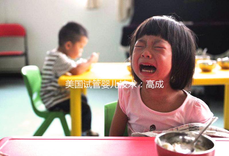 美國(guó)試管嬰兒技術(shù):高成功率背后的科學(xué)突破與人性化服務(wù)