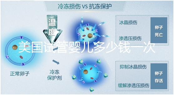 美國試管嬰兒多少錢一次？2025費用清單與避坑指南！