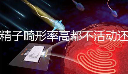 精子畸形率高都不活動還能做試管嬰兒嗎？