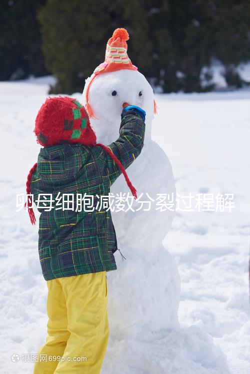 卵母細胞減數分裂過程解讀，從出生到成熟必經這3個階段