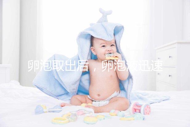 卵泡取出后，卵泡液迅速凝固異常發生了什么事