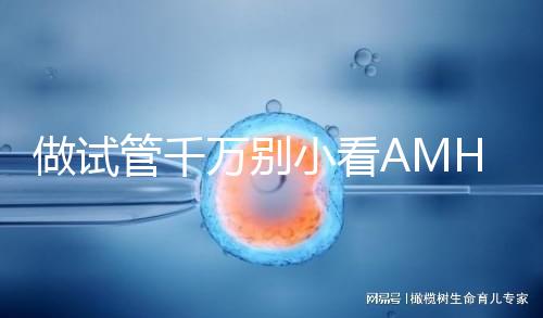 做試管千萬別小看AMH值，想手術必須先滿足其最低要求