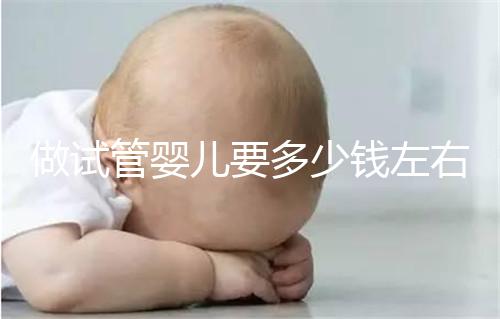 做試管嬰兒要多少錢左右?