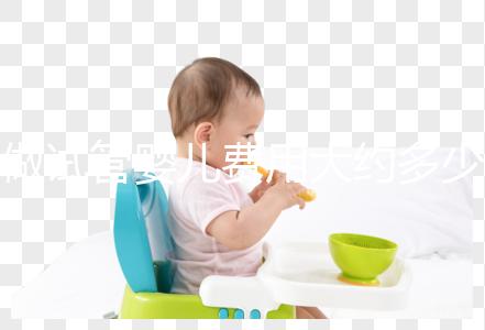 做試管嬰兒費用大約多少錢？