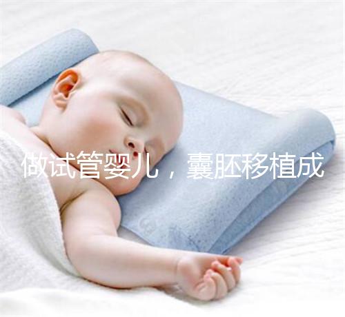 做試管嬰兒，囊胚移植成功懷孕的幾率更高？