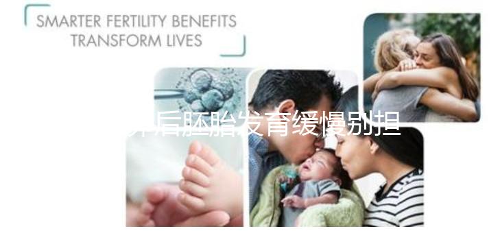 取卵后胚胎發育緩慢別擔心！這么做試管成功率翻倍