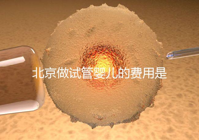 北京做試管嬰兒的費(fèi)用是多少錢？詳細(xì)流程是怎樣的？