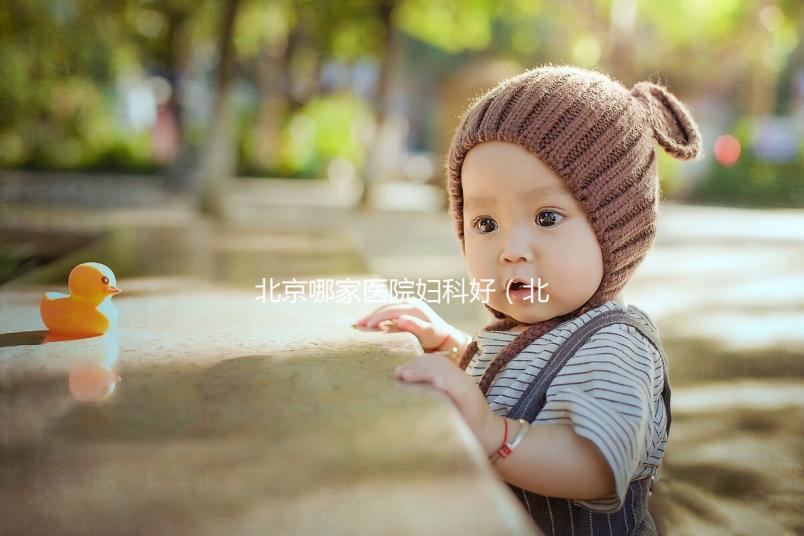 北京哪家醫院婦科好（北京市婦科最好醫院）