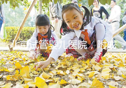 北京試管嬰兒醫院，附成功率、費用