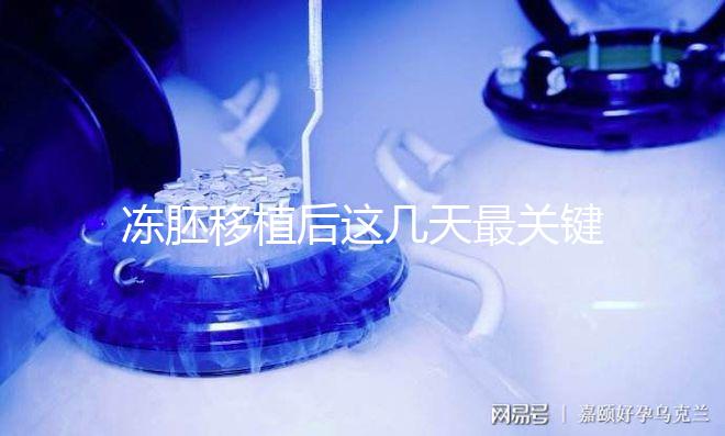 凍胚移植后這幾天最關(guān)鍵！一文揭秘重要原因