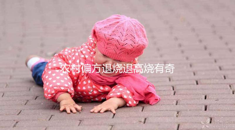 農(nóng)村偏方退燒退高燒有奇效，路邊常見退燒草別還不認識