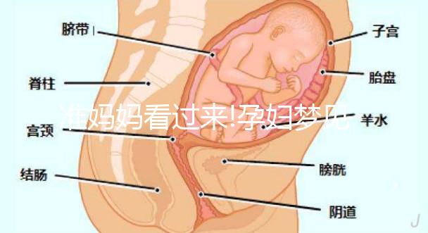 準(zhǔn)媽媽看過(guò)來(lái)!孕婦夢(mèng)見(jiàn)兔子的7情形胎夢(mèng)寓意解讀