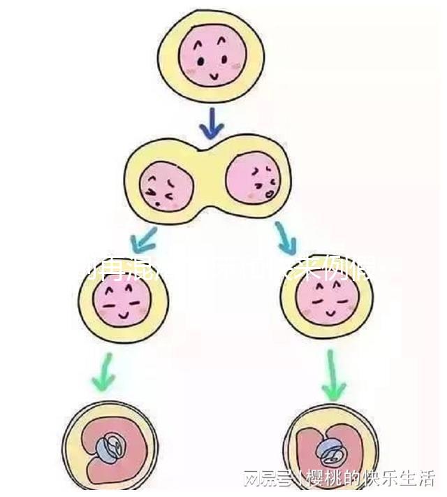 別再混淆著床和快來例假了,除了出血量還有這些區(qū)別