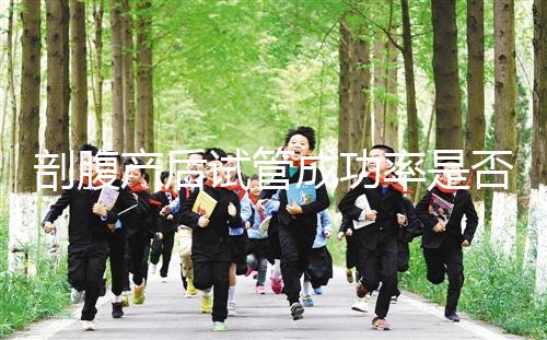 剖腹產后試管成功率是否很低？適當的調理影響真的很小