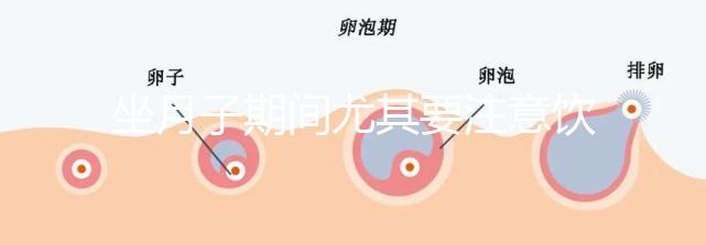 坐月子期間尤其要注意飲食，禁止吃的12種蔬菜有這些