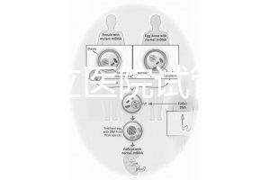 國(guó)內(nèi)公立醫(yī)院試管嬰兒費(fèi)用概覽：一般要花多少錢？