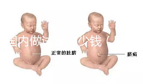 國(guó)內(nèi)做試管多少錢(qián)（國(guó)內(nèi)做試管多少錢(qián)啊）