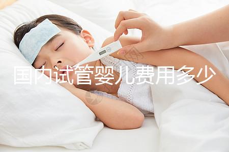 國(guó)內(nèi)試管嬰兒費(fèi)用多少