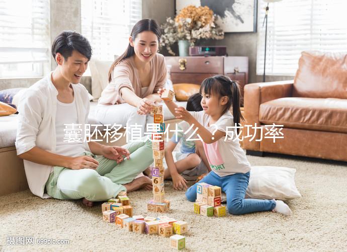 囊胚移植是什么？成功率