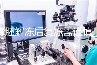 囊胚解凍后復(fù)凍需謹(jǐn)慎，這些對胚胎質(zhì)量的影響不可不知