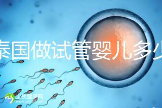 在泰國做試管嬰兒多少錢（在泰國做試管嬰兒多少錢？）