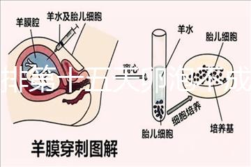 促排第十五天卵泡不成熟還可以治療！1.2等幾天就能長大