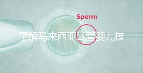 了解馬來西亞試管嬰兒技術看這里!為你科普5大醫(yī)院排名