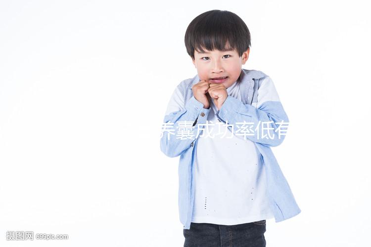 二代試管養囊成功率低有原因，禍首罪魁或是胚胎質量