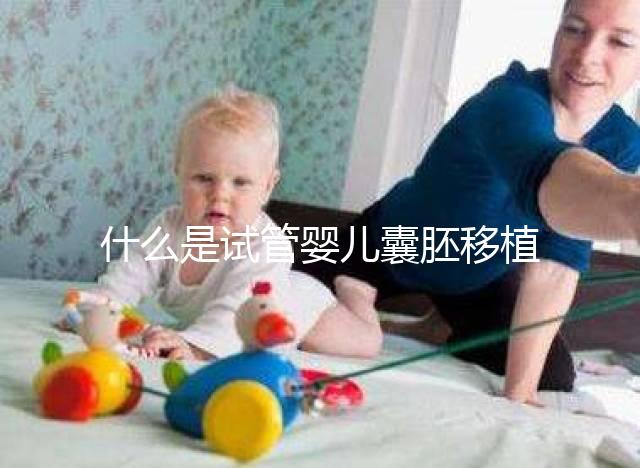 什么是試管嬰兒囊胚移植?