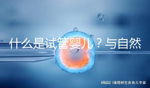 什么是試管嬰兒？與自然懷孕的小孩有區(qū)別嗎？一文告訴你！