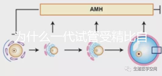 為什么一代試管受精比自然受精更解密？精子和卵子的質(zhì)量只有一個