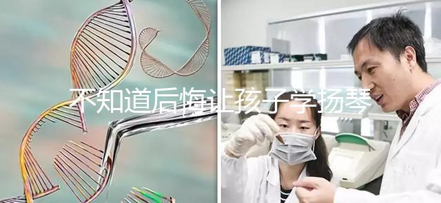 不知道后悔讓孩子學揚琴怎么辦看這，年齡是決定因素