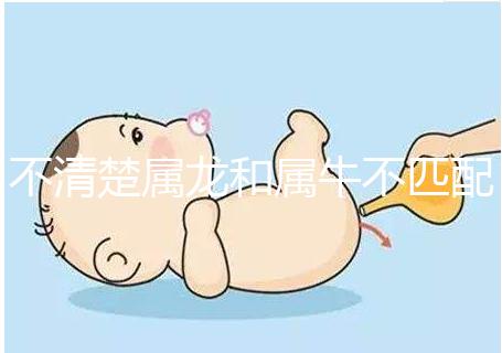 不清楚屬龍和屬牛不匹配戳，再一起看財運就夠了