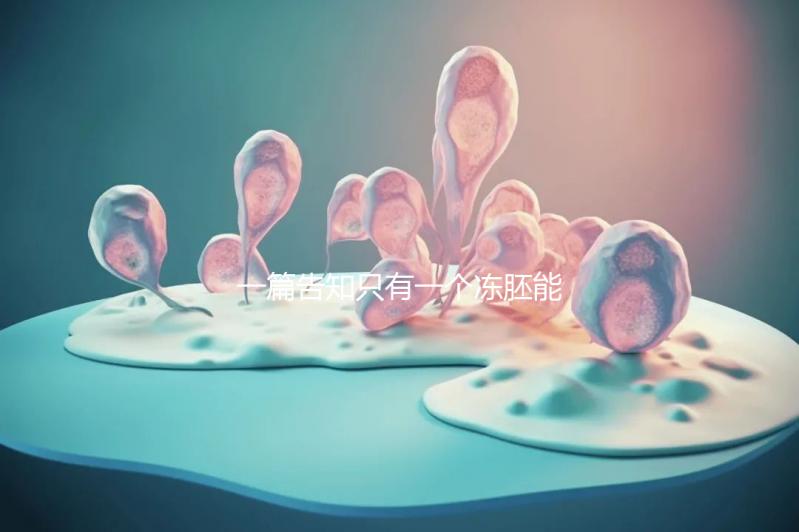 一篇告知只有一個凍胚能否移植,機(jī)會有多大做之前都看看