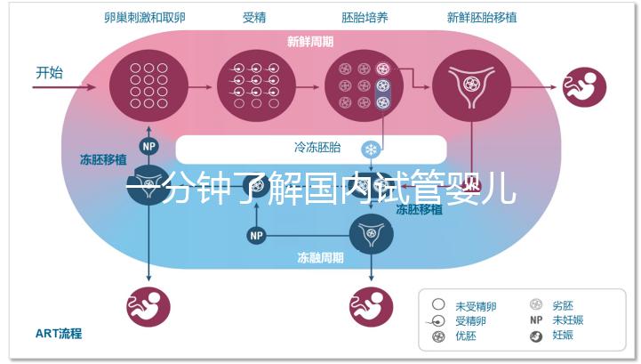 一分鐘了解國內試管嬰兒相關規定與流程