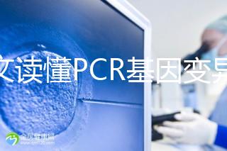一文讀懂PCR基因變異報告，解讀高通量測序染色體檢查