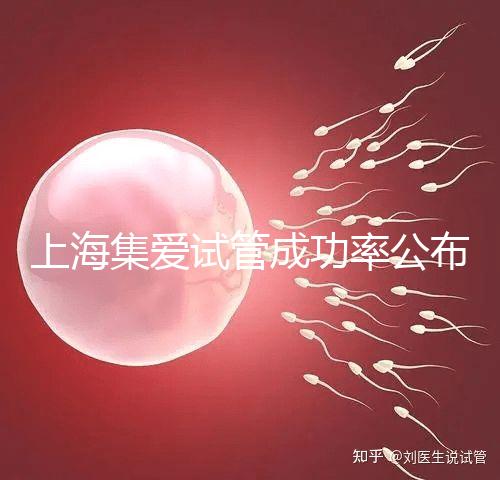 上海集愛試管成功率公布,排名輕松進入全國前二十!