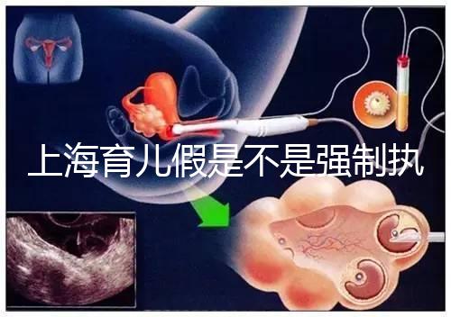 上海育兒假是不是強(qiáng)制執(zhí)行已明確，2024虹口區(qū)何時(shí)執(zhí)行戳