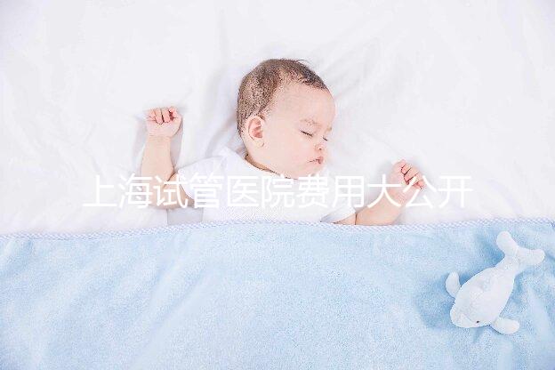 上海試管醫(yī)院費(fèi)用大公開(kāi)!過(guò)來(lái)人表示無(wú)法報(bào)銷(xiāo)真不便宜