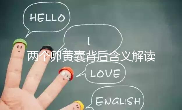 兩個卵黃囊背后含義解讀:雙胞胎、龍鳳胎都有可能!