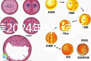 推薦2024年5月結婚的良辰吉日，最吉利的要數…